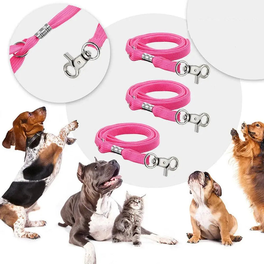 Safety Rope Nylon Restraint Noose Fixed Dog Cat Pet Grooming Loops Leash Leads Adjustable Pet Grooming Table Pet Supplies Perros - Trusted Pet Products