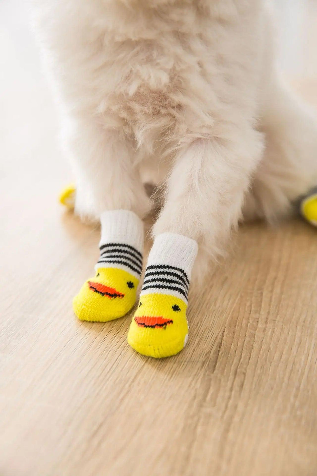 4Pcs Cute Pet Dog Socks with Print Anti-Slip Paw Protector for Small Breed Dogs - Trusted Pet Products