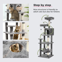 Domestic Delivery Multi-Level Cat Tree Tower Climb Furniture Scratching Post for Indoor House Pet Supplies Kitten Toy Cozy Condo - Trusted Pet Products