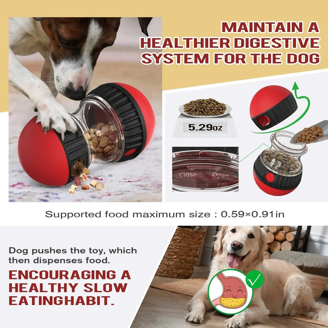 Slow Feeder Dog Toy IQ Indoor Training - Trusted Pet Products