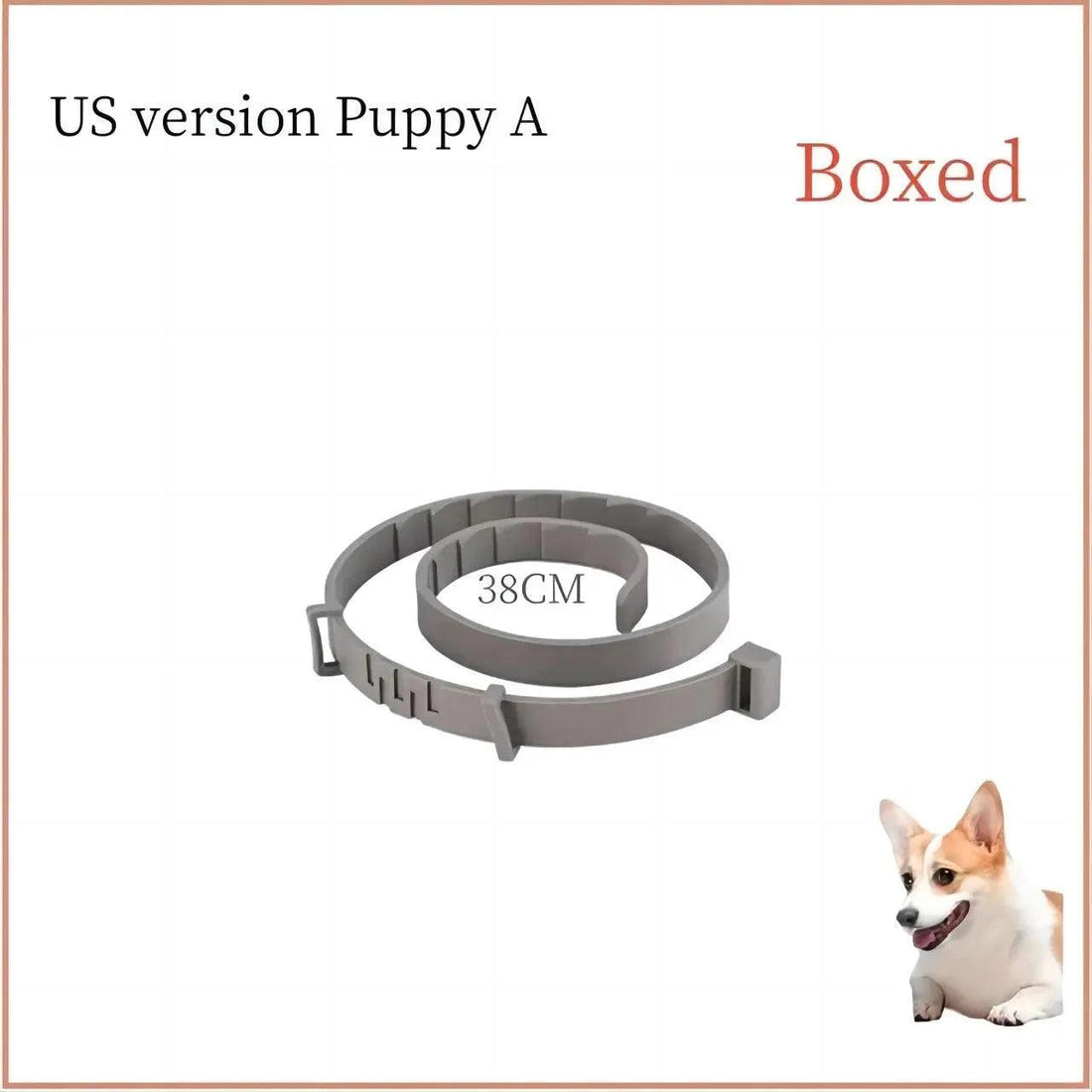 Small Dogs Pet Collar - Trusted Pet Products