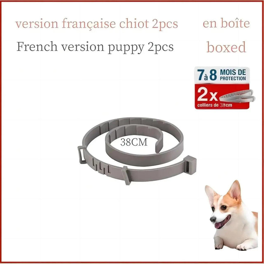 Small Dogs Pet Collar - Trusted Pet Products