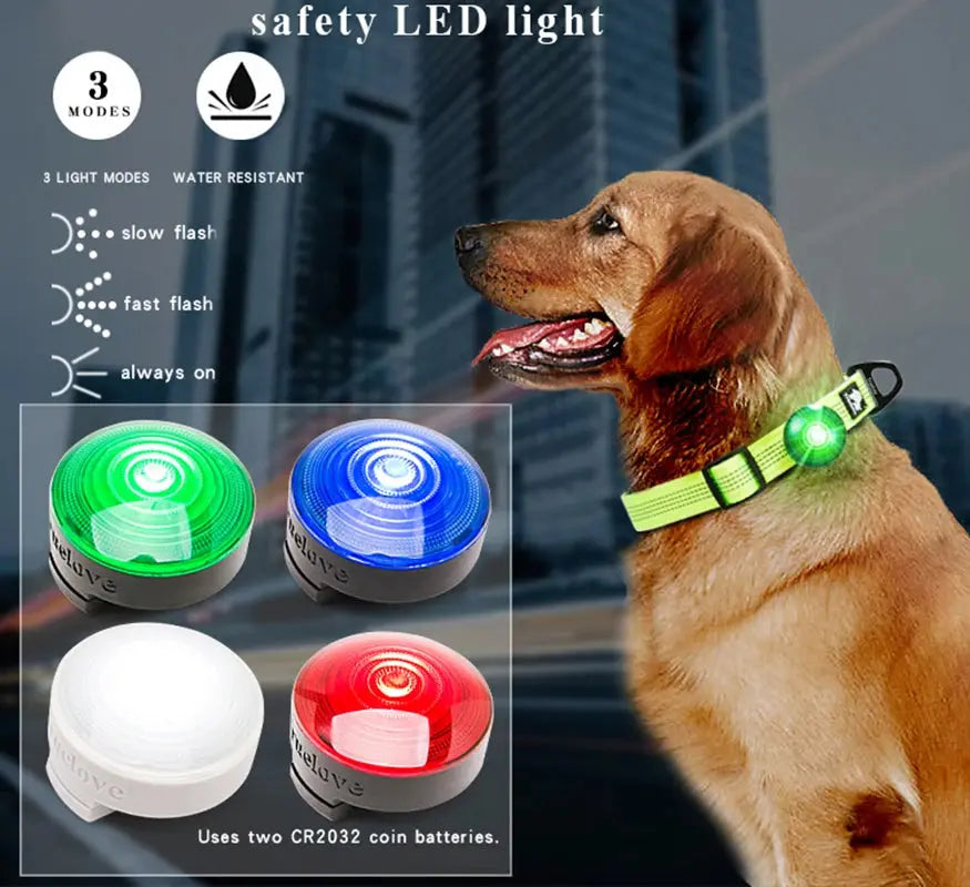 Truelove Safety LED Light for Pet Wear Collar Harness Backpack with Water Resistant and Long Continuous Battery Life TLD19101 - Trusted Pet Products