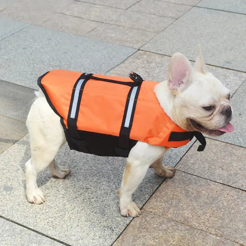 Vest Jacket Reflective Pet Clothes Trusted Pet Products