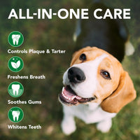 Vet's Best Dog Toothbrush & Enzymatic Toothpaste Kit - Trusted Pet Products