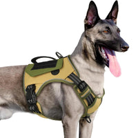 WINGOIN Purple Tactical Dog Harness Vest for Small Dogs No Pull - Trusted Pet Products