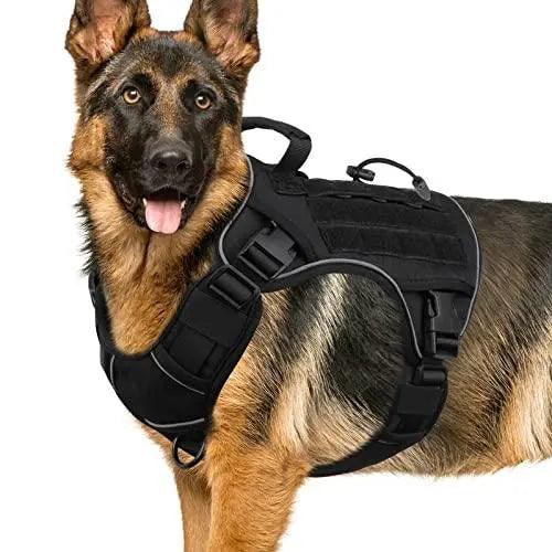 WINGOIN Purple Tactical Dog Harness Vest for Small Dogs No Pull - Trusted Pet Products