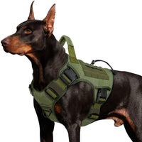 WINGOIN Purple Tactical Dog Harness Vest for Small Dogs No Pull - Trusted Pet Products