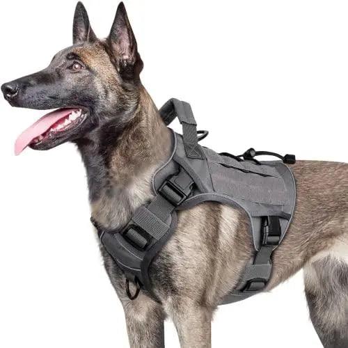 WINGOIN Purple Tactical Dog Harness Vest for Small Dogs No Pull - Trusted Pet Products