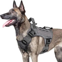 WINGOIN Purple Tactical Dog Harness Vest for Small Dogs No Pull - Trusted Pet Products