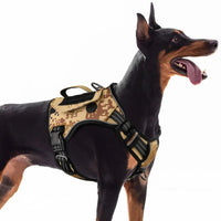 WINGOIN Purple Tactical Dog Harness Vest for Small Dogs No Pull - Trusted Pet Products