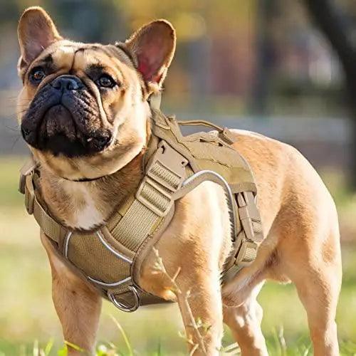 WINGOIN Purple Tactical Dog Harness Vest for Small Dogs No Pull - Trusted Pet Products