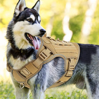 WINGOIN Purple Tactical Dog Harness Vest for Small Dogs No Pull My Store