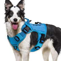 WINGOIN Purple Tactical Dog Harness Vest for Small Dogs No Pull - Trusted Pet Products