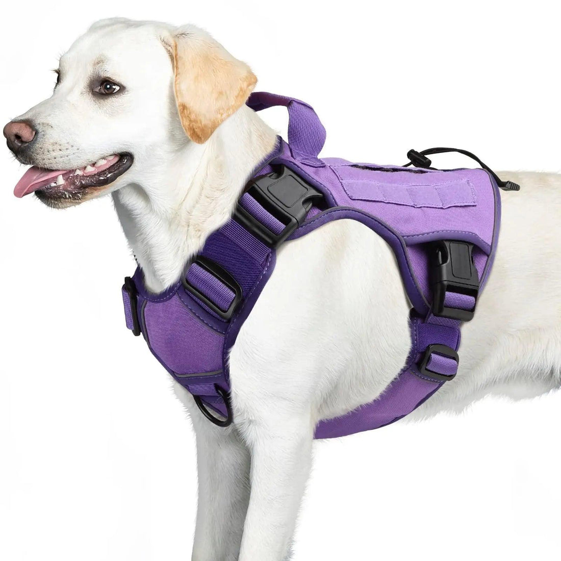 WINGOIN Purple Tactical Dog Harness Vest for Small Dogs No Pull - Trusted Pet Products