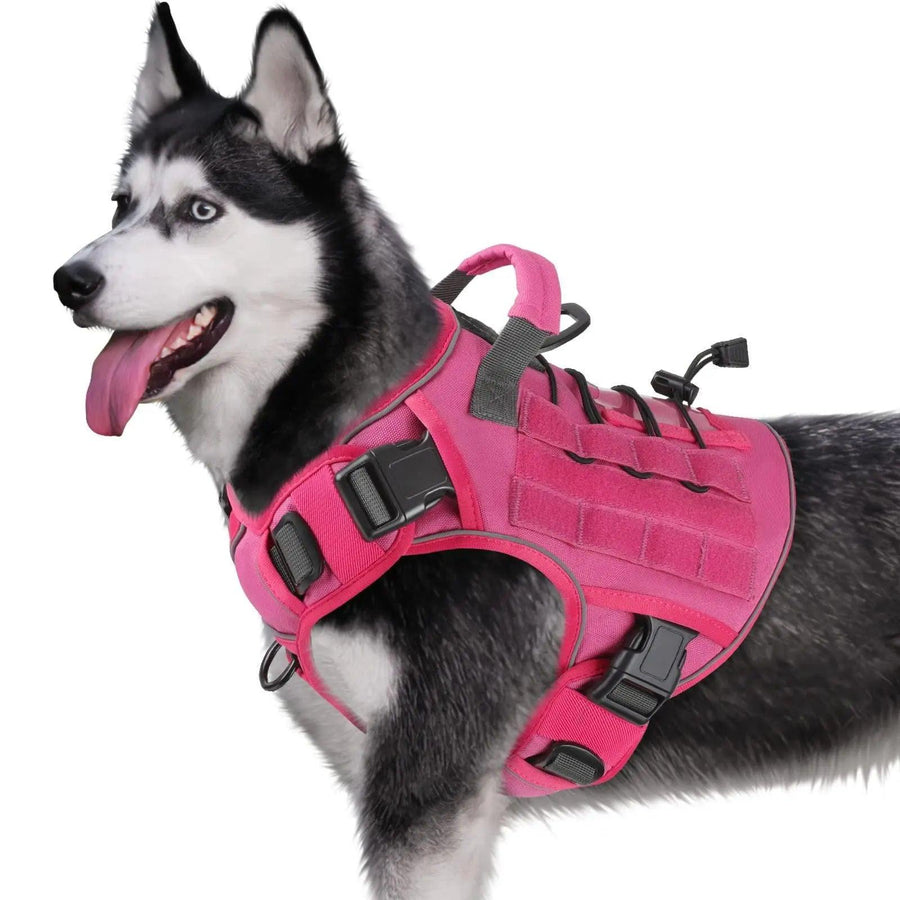 WINGOIN Purple Tactical Dog Harness Vest for Small Dogs No Pull - Trusted Pet Products