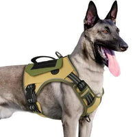 WINGOIN Purple Tactical Dog Harness Vest for Small Dogs No Pull - Trusted Pet Products