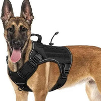 WINGOIN Purple Tactical Dog Harness Vest for Small Dogs No Pull - Trusted Pet Products