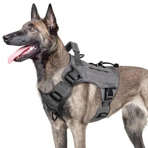 WINGOIN Purple Tactical Dog Harness Vest for Small Dogs No Pull - Trusted Pet Products