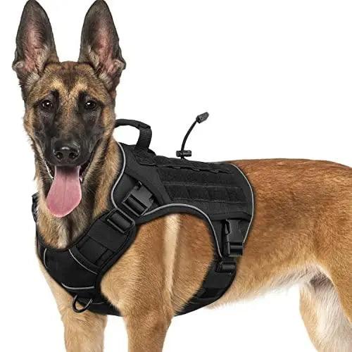 WINGOIN Purple Tactical Dog Harness Vest for Small Dogs No Pull - Trusted Pet Products