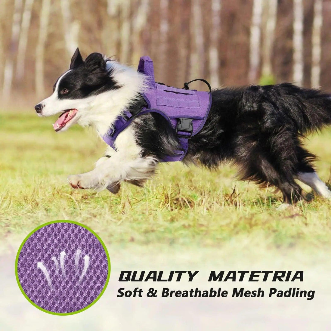 WINGOIN Purple Tactical Dog Harness Vest for Small Dogs No Pull - Trusted Pet Products