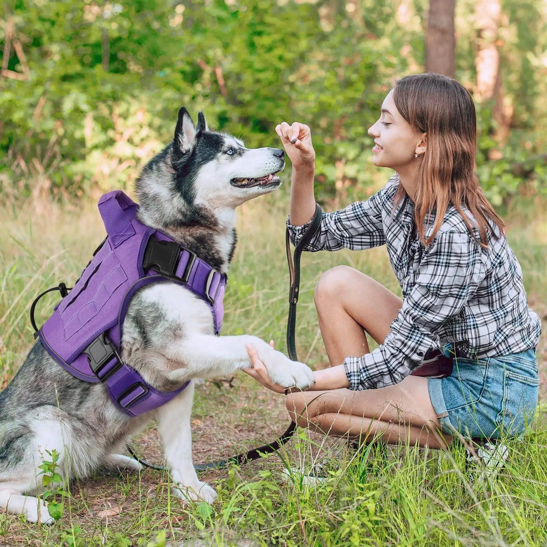 WINGOIN Purple Tactical Dog Harness Vest for Small Dogs No Pull - Trusted Pet Products