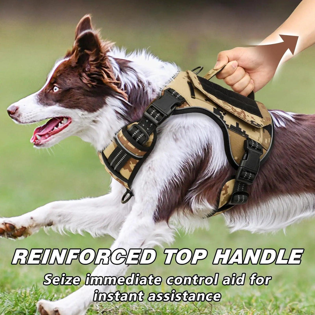 WINGOIN Purple Tactical Dog Harness Vest for Small Dogs No Pull - Trusted Pet Products