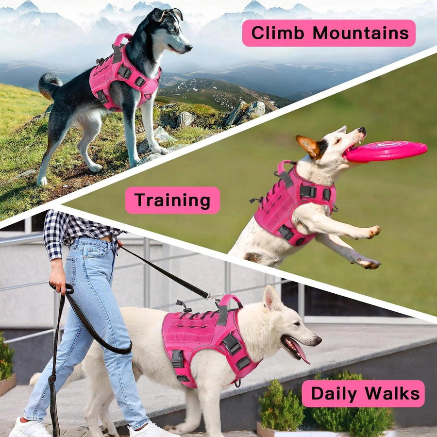 WINGOIN Purple Tactical Dog Harness Vest for Small Dogs No Pull - Trusted Pet Products