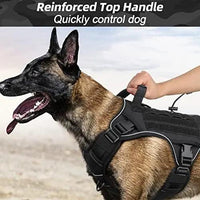 WINGOIN Purple Tactical Dog Harness Vest for Small Dogs No Pull - Trusted Pet Products