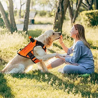 WINGOIN Purple Tactical Dog Harness Vest for Small Dogs No Pull My Store