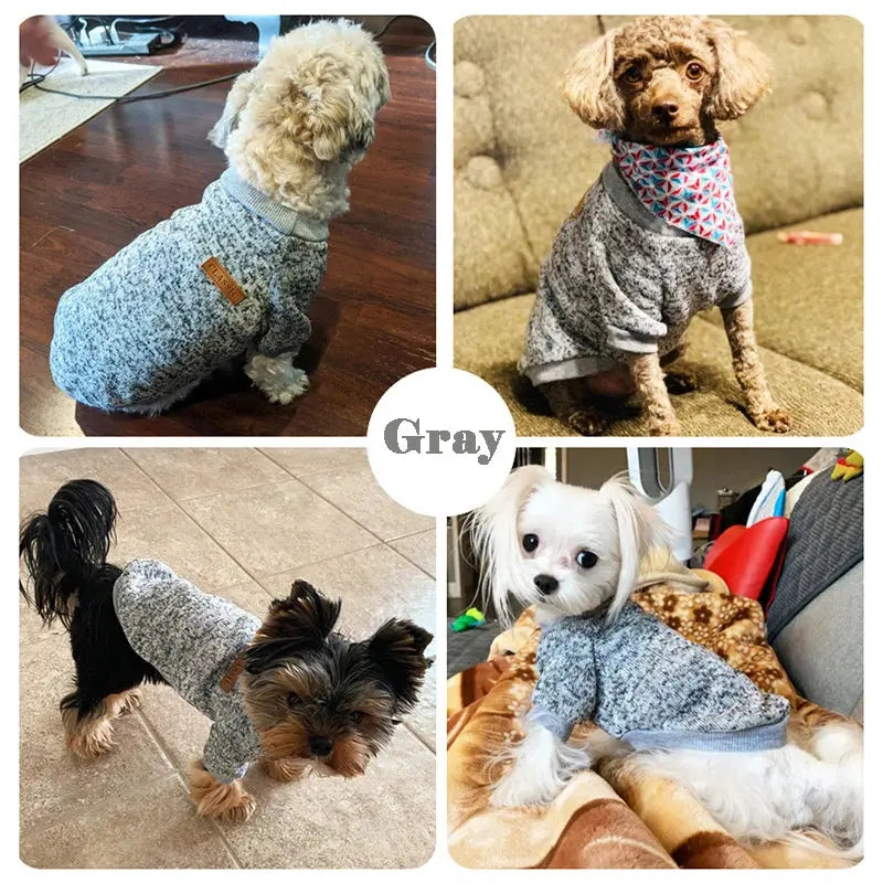 Warm Clothes for Small Dogs Trusted Pet Products