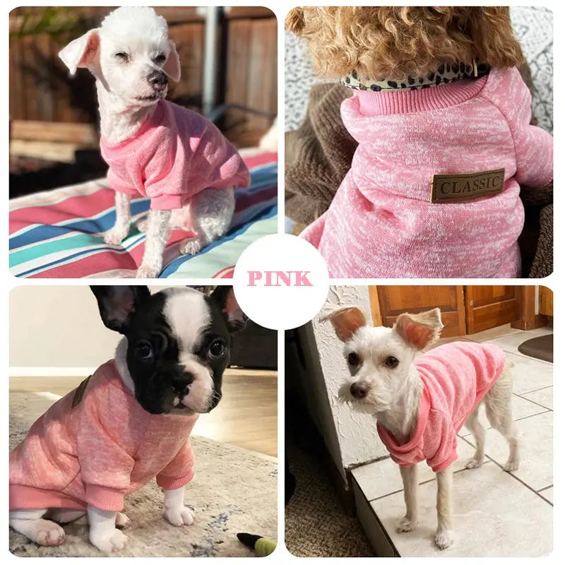 Warm Clothes for Small Dogs Trusted Pet Products