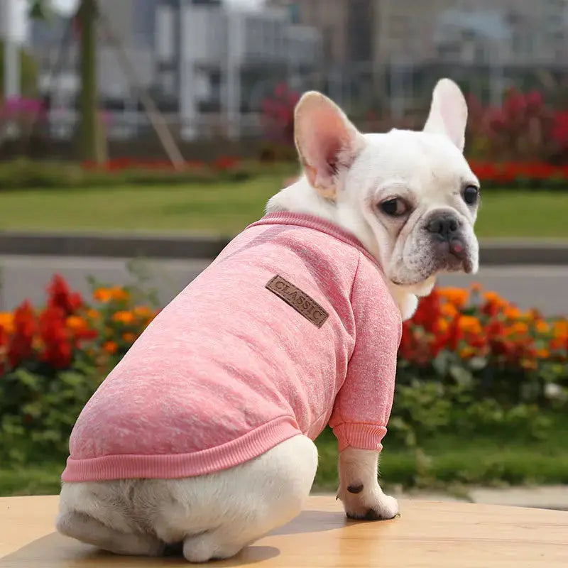 Warm Clothes for Small Dogs Trusted Pet Products