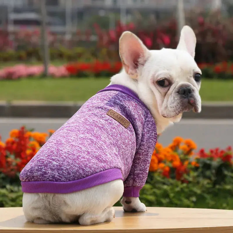 Warm Clothes for Small Dogs Trusted Pet Products