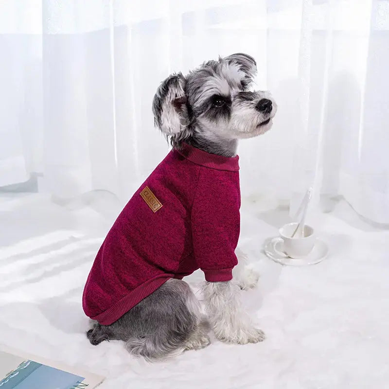 Warm Clothes for Small Dogs Trusted Pet Products