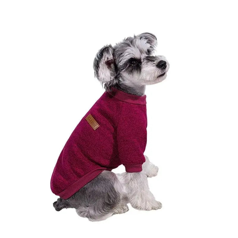 Warm Clothes for Small Dogs - Trusted Pet Products