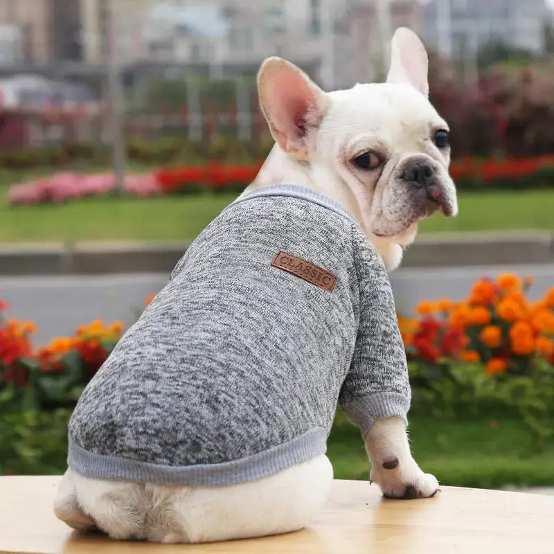 Warm Clothes for Small Dogs Trusted Pet Products