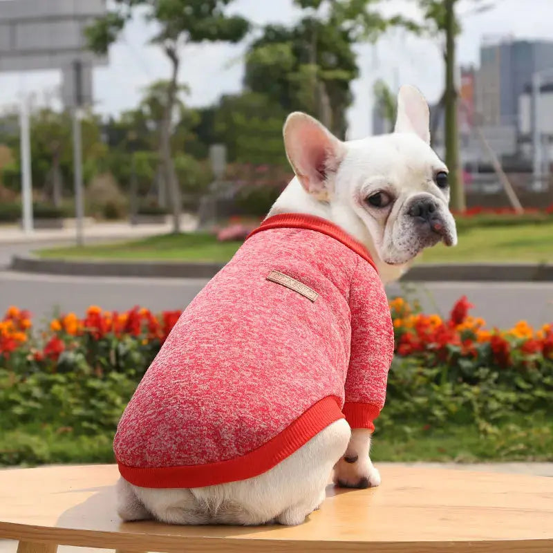 Warm Clothes for Small Dogs Trusted Pet Products