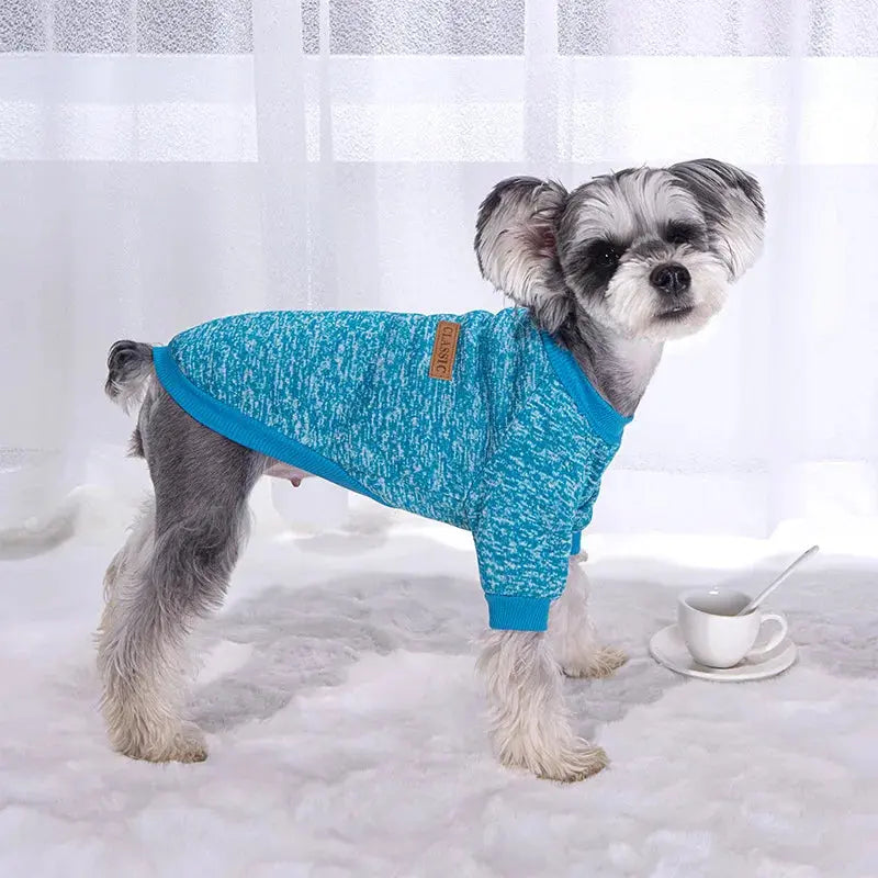 Warm Clothes for Small Dogs Trusted Pet Products