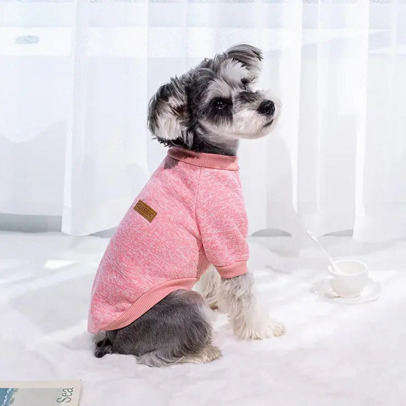 Warm Clothes for Small Dogs Trusted Pet Products