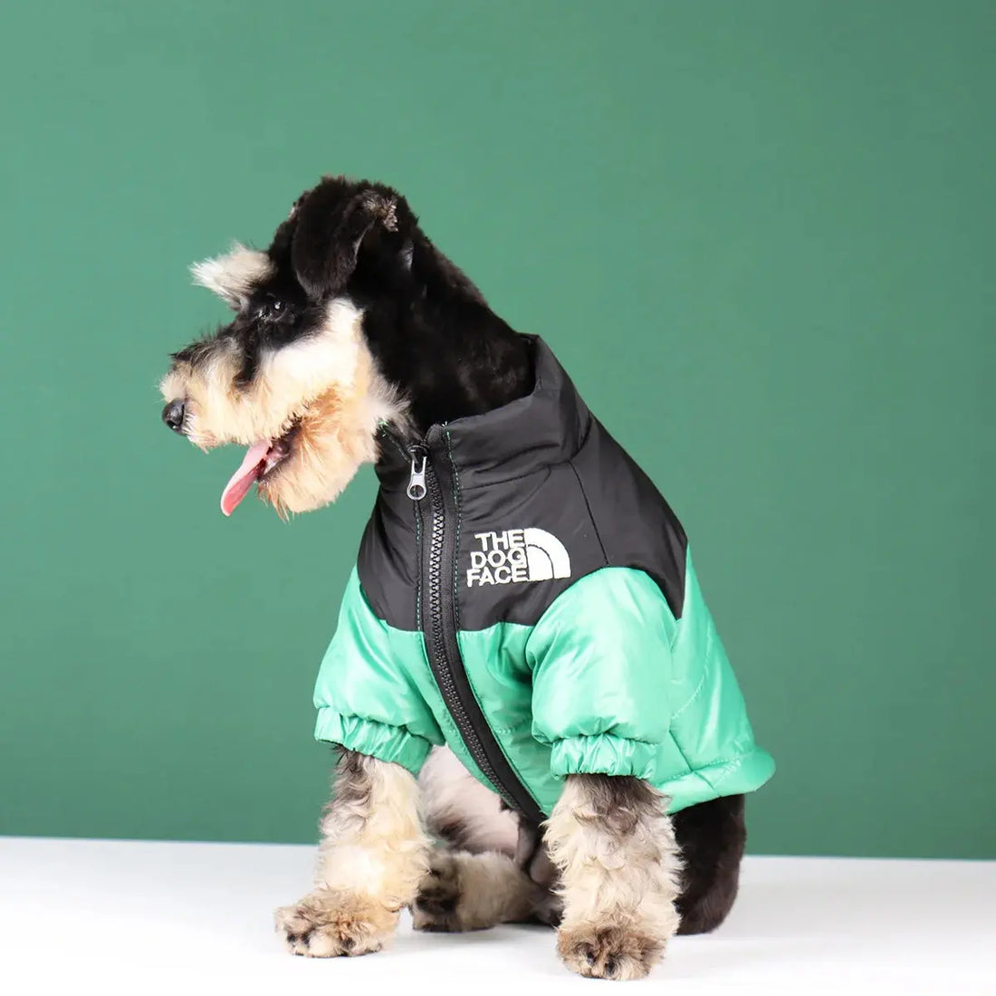 Warm Windproof Reflective Jacket for Small and Medium Dogs Trusted Pet Products