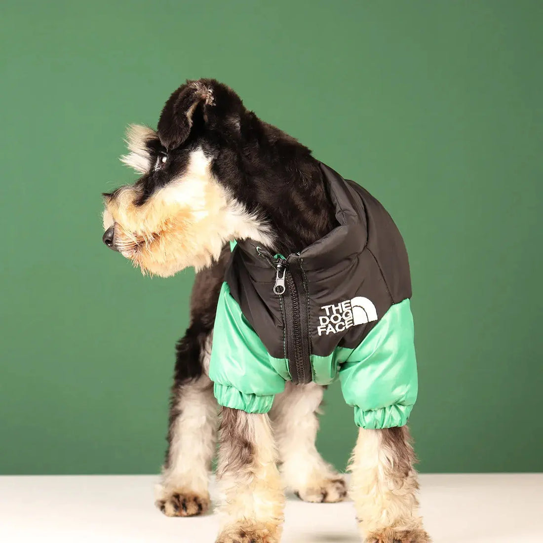 Warm Windproof Reflective Jacket for Small and Medium Dogs Trusted Pet Products