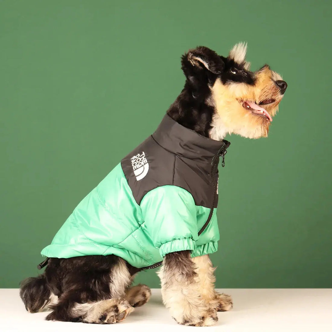 Warm Windproof Reflective Jacket for Small and Medium Dogs Trusted Pet Products