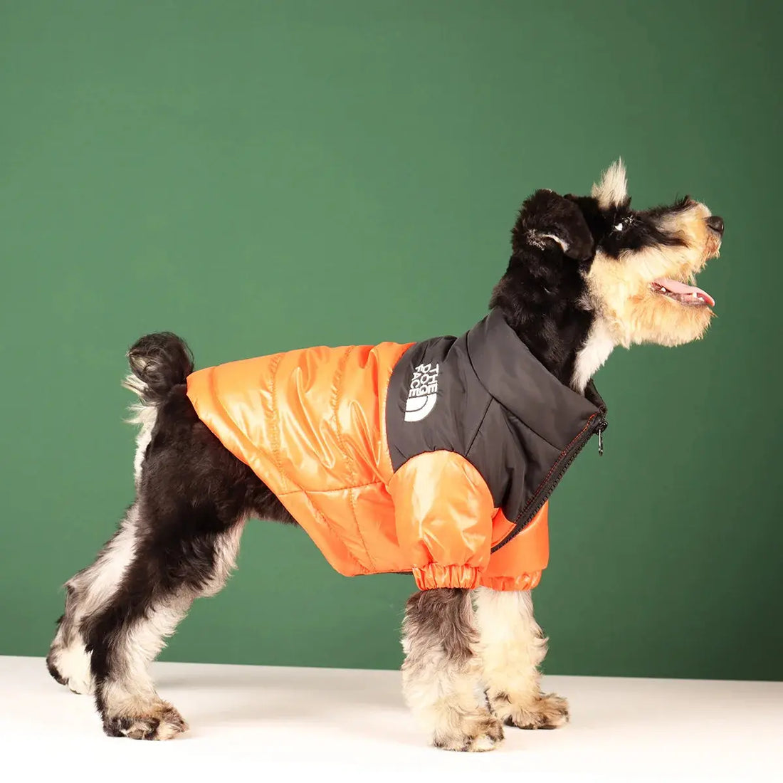 Warm Windproof Reflective Jacket for Small and Medium Dogs Trusted Pet Products