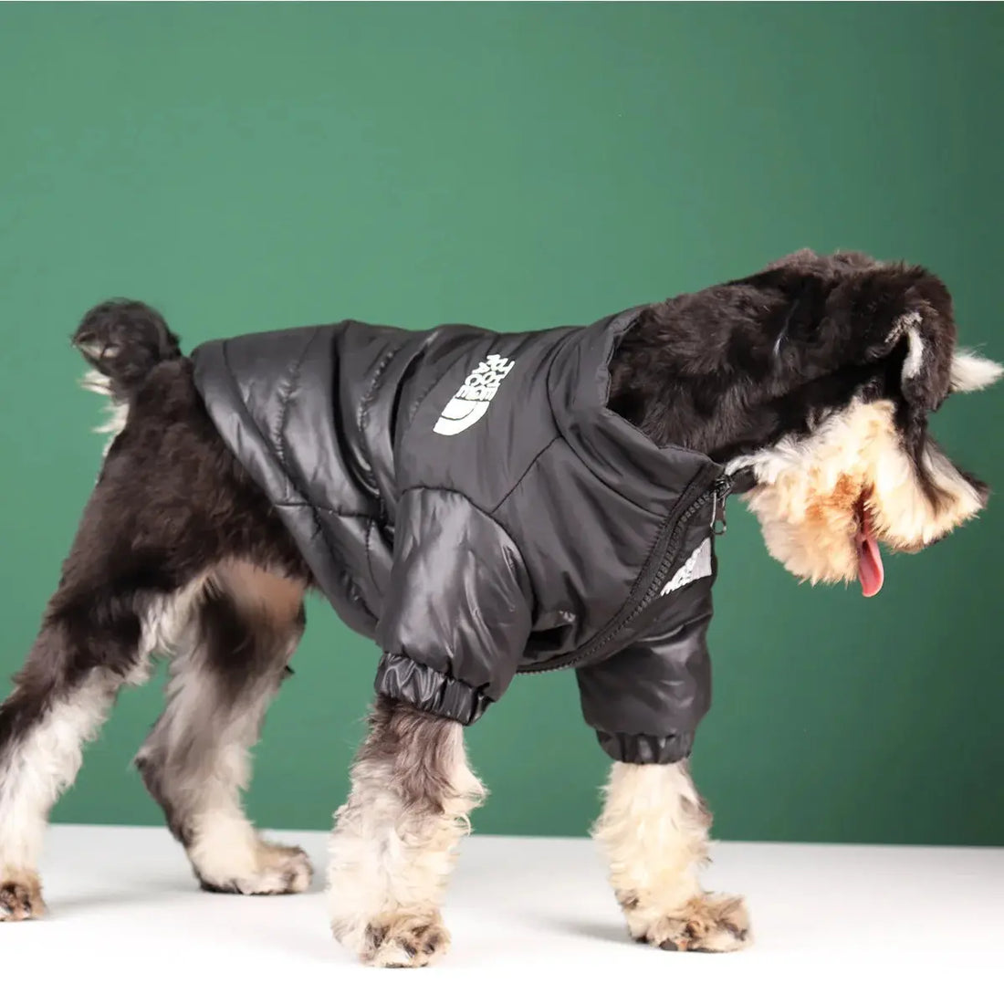 Warm Windproof Reflective Jacket for Small and Medium Dogs Trusted Pet Products