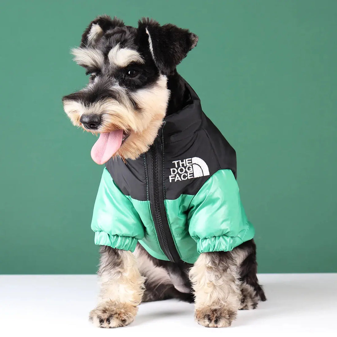 Warm Windproof Reflective Jacket for Small and Medium Dogs Trusted Pet Products