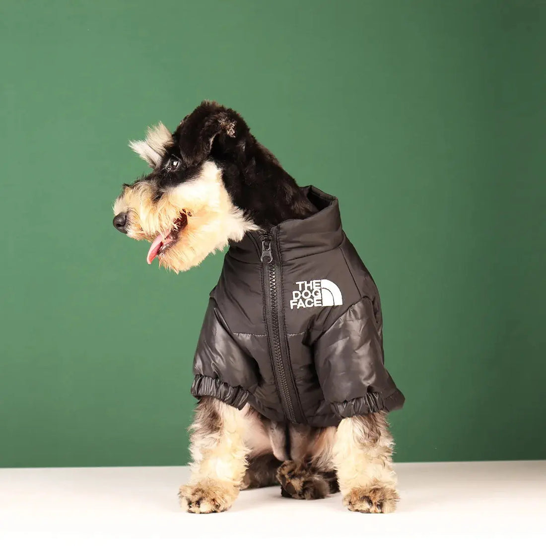 Warm Windproof Reflective Jacket for Small and Medium Dogs Trusted Pet Products