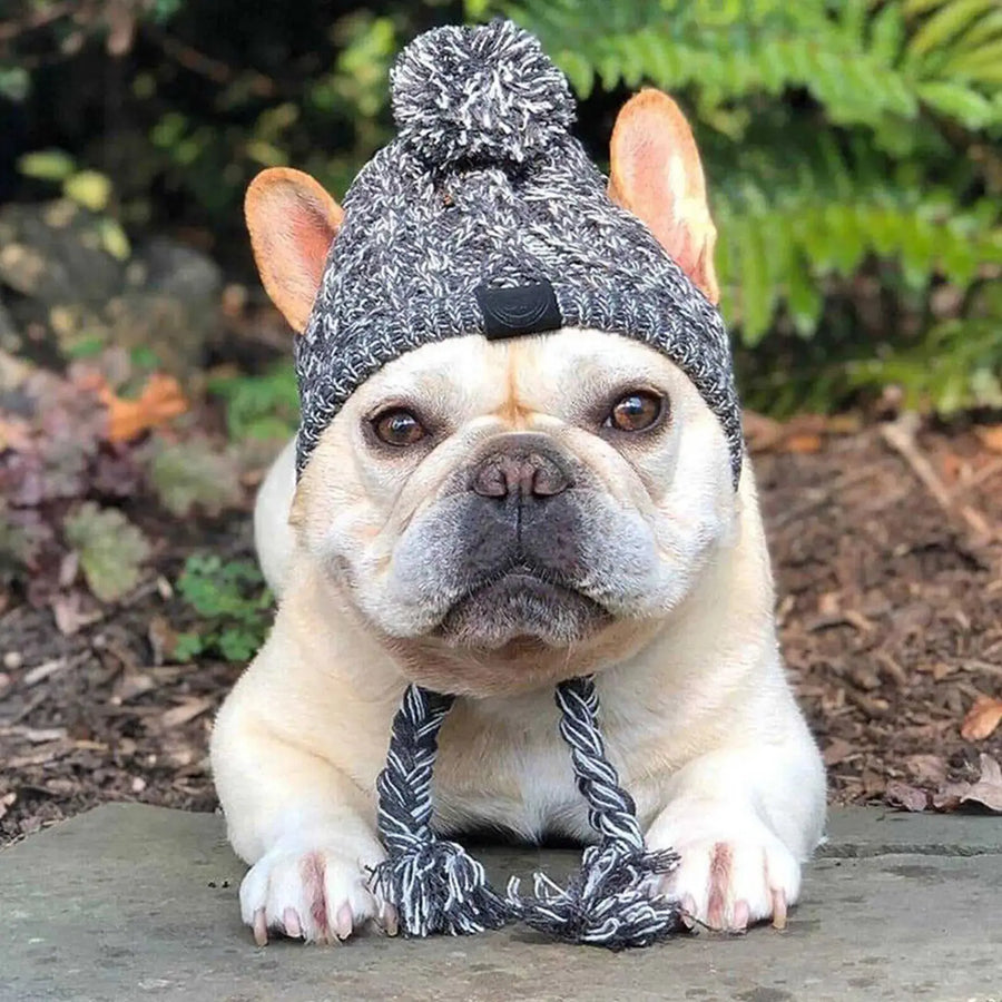 Windproof Winter Warm Knitted Dog Hats Trusted Pet Products