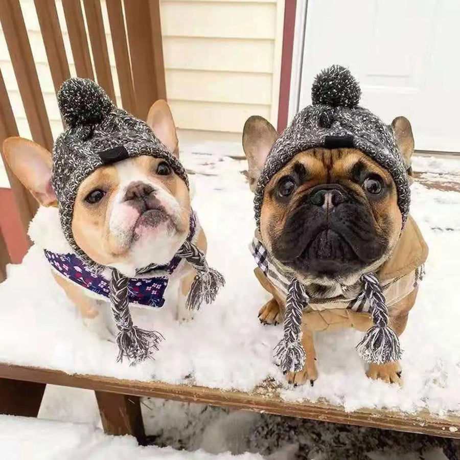 Windproof Winter Warm Knitted Dog Hats Trusted Pet Products