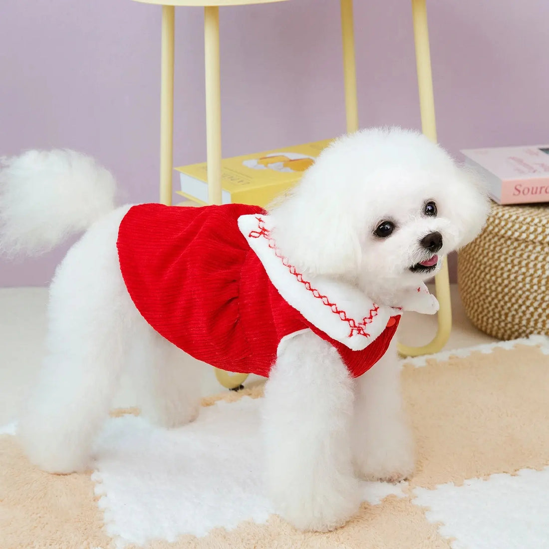 Winter Dog Vest Tshirt Couple Lover Costume Trusted Pet Products